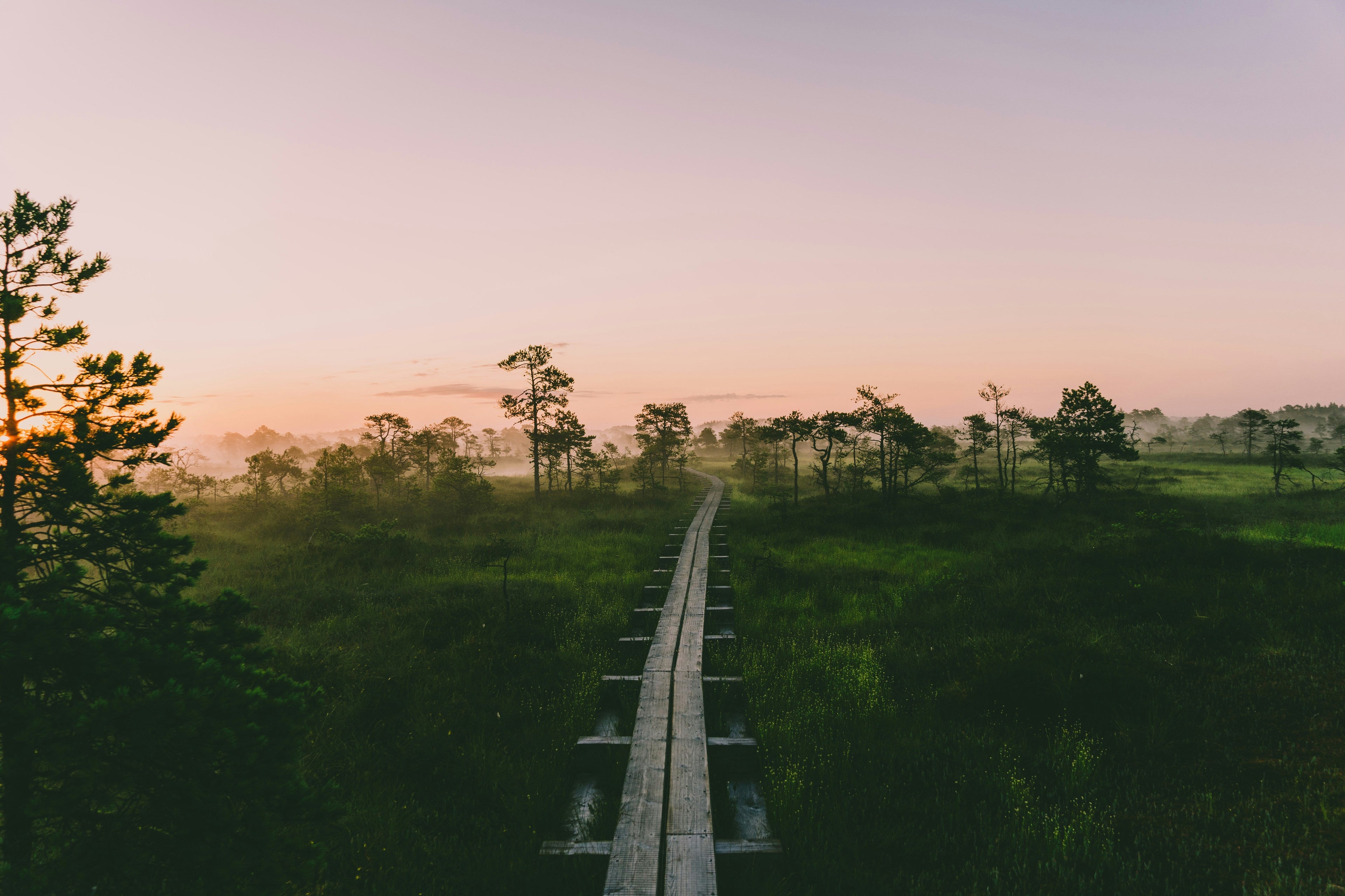 Biophilic Design: Bringing the Northern European Landscape Indoors