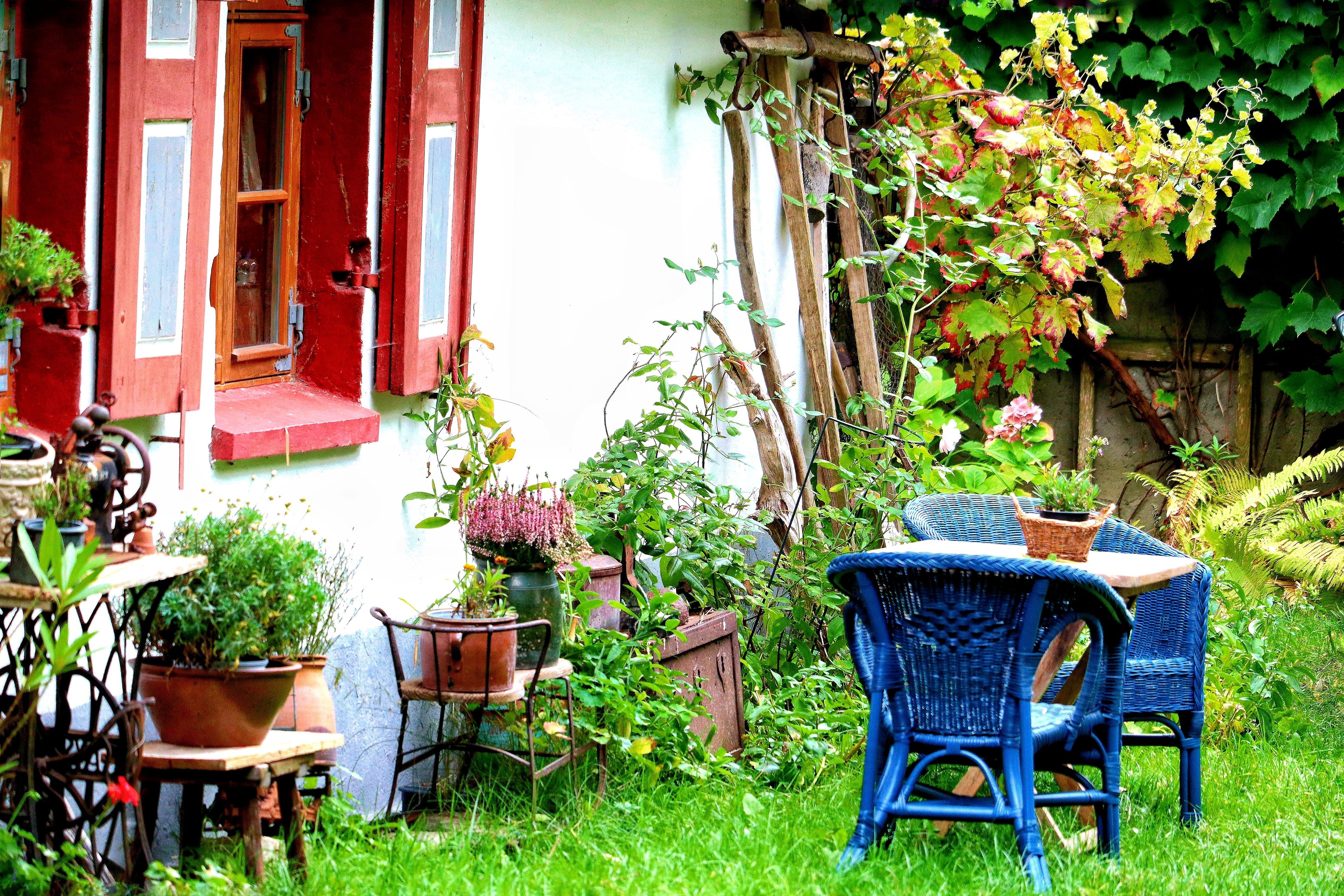 The Rustic Garden: Creating an Outdoor Personal Haven