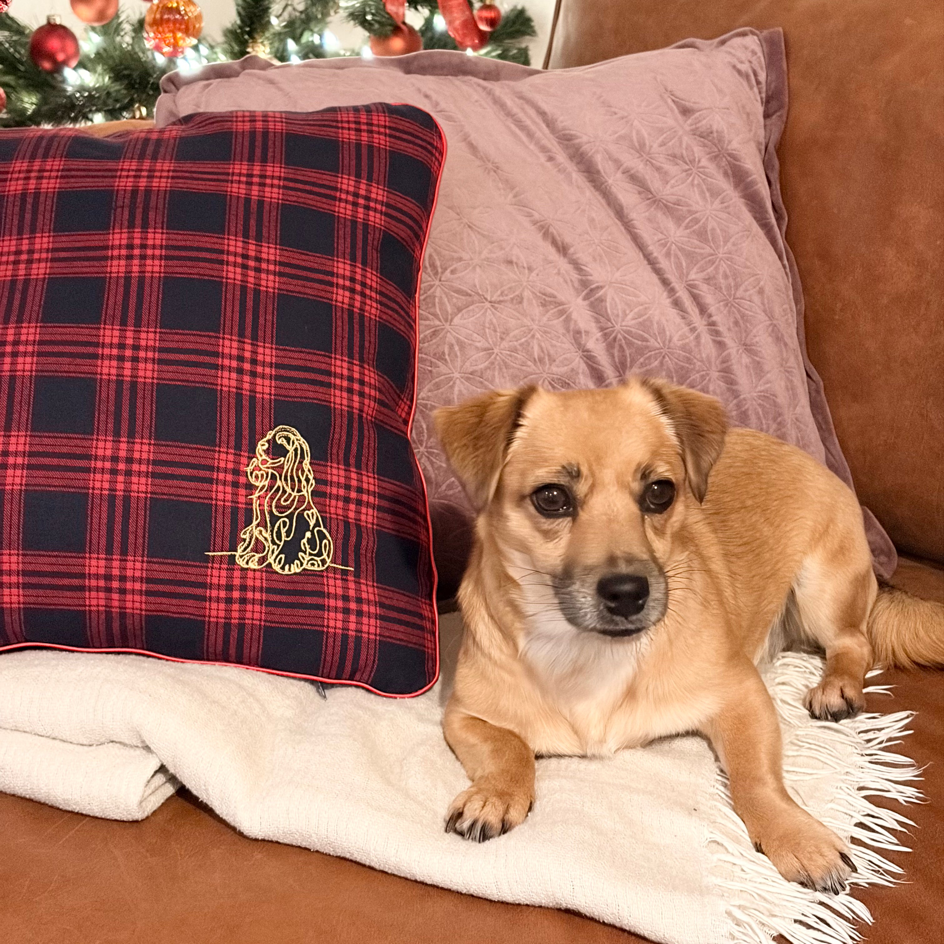 Cocker Spaniel Cushion #1